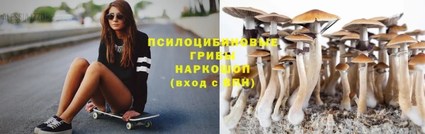 шишки Зеленодольск