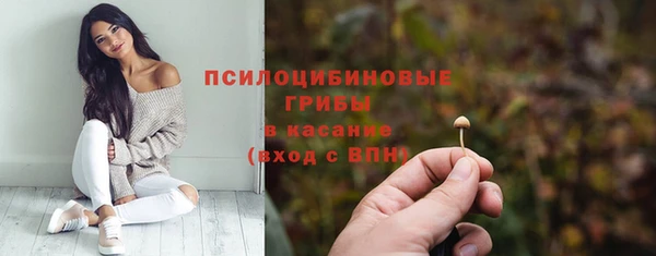 a pvp Заволжск