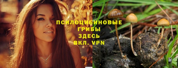 a pvp Заволжск